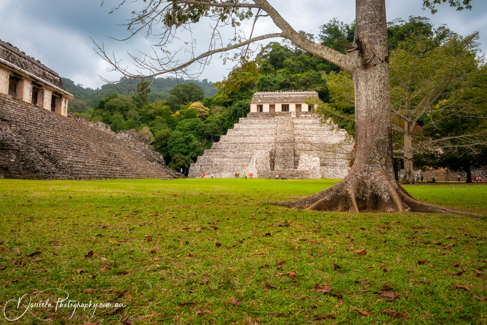Palenque archeological site,Temple of Inscriptions Largest Funeral Pyramid